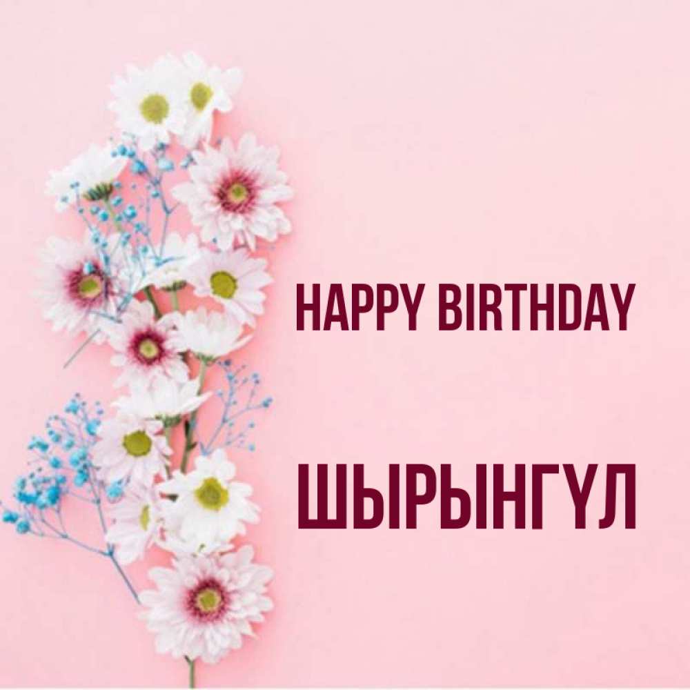 Greetings card с именем, ШЫРЫНГҮЛ Happy Birthday Родная моя с днем рождения тебя картинка с цветами белыми и голубыми Greetings with text for free download 