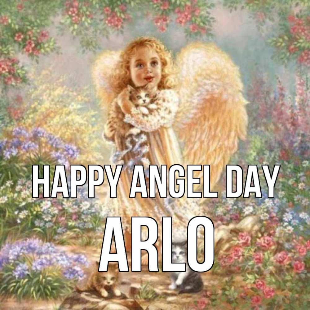 Greetings card с именем, Arlo happy angel day держит котенка Greetings with text for free download 