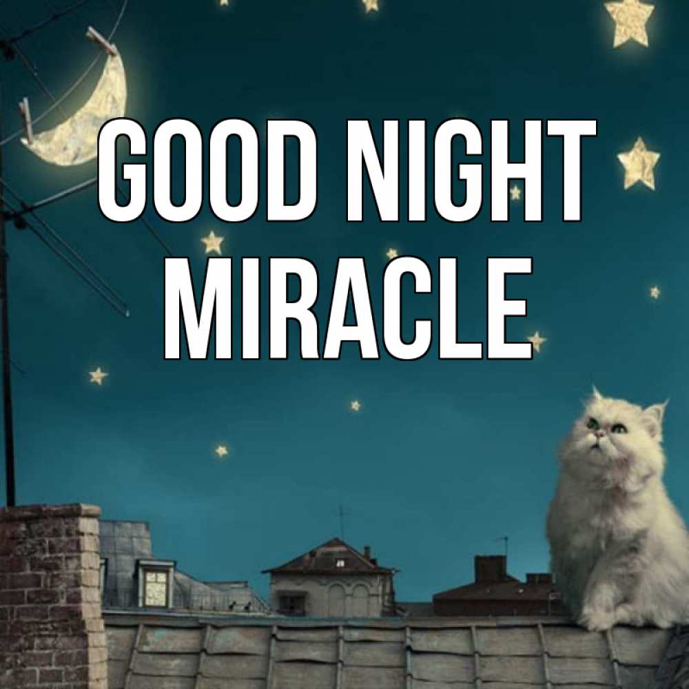 Greetings card с именем, Miracle Good night белый кот сидит на крыше Greetings with text for free download 