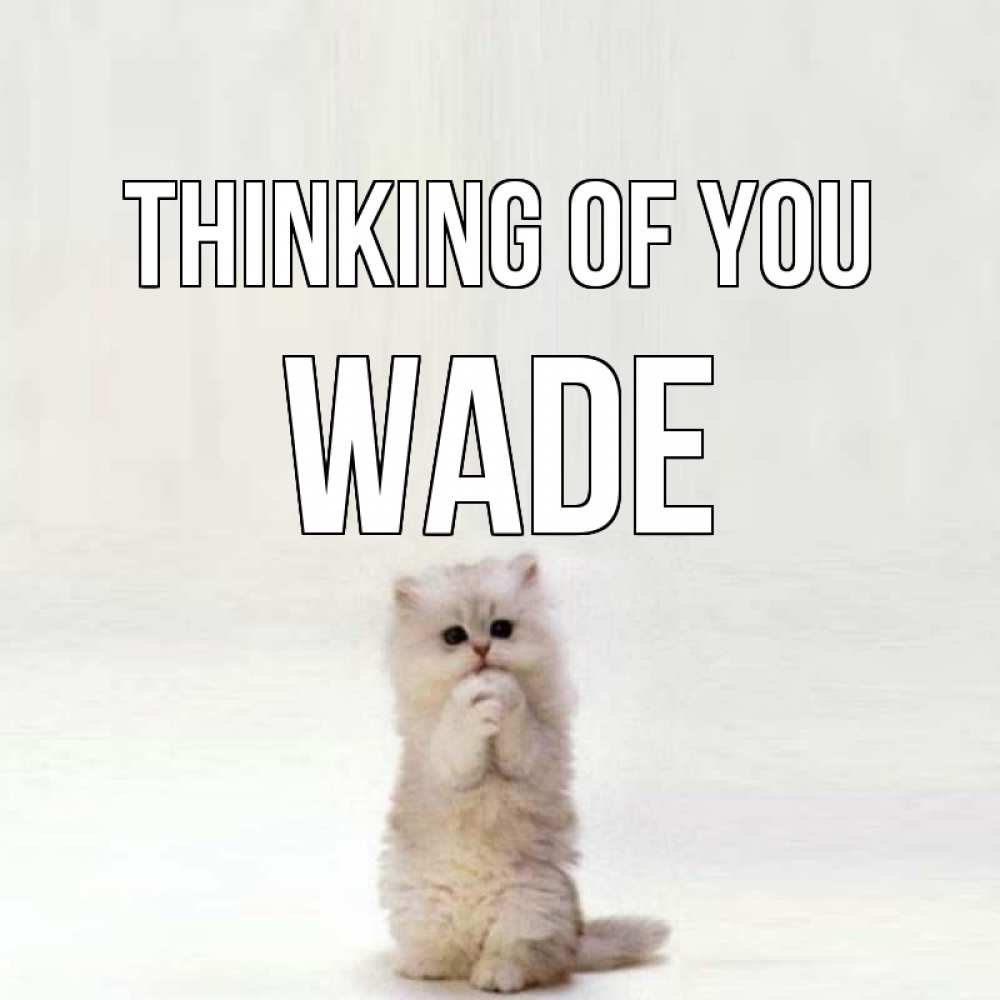 Greetings card с именем, Wade Thinking of you кот стоит на задних лапах Greetings with text for free download 