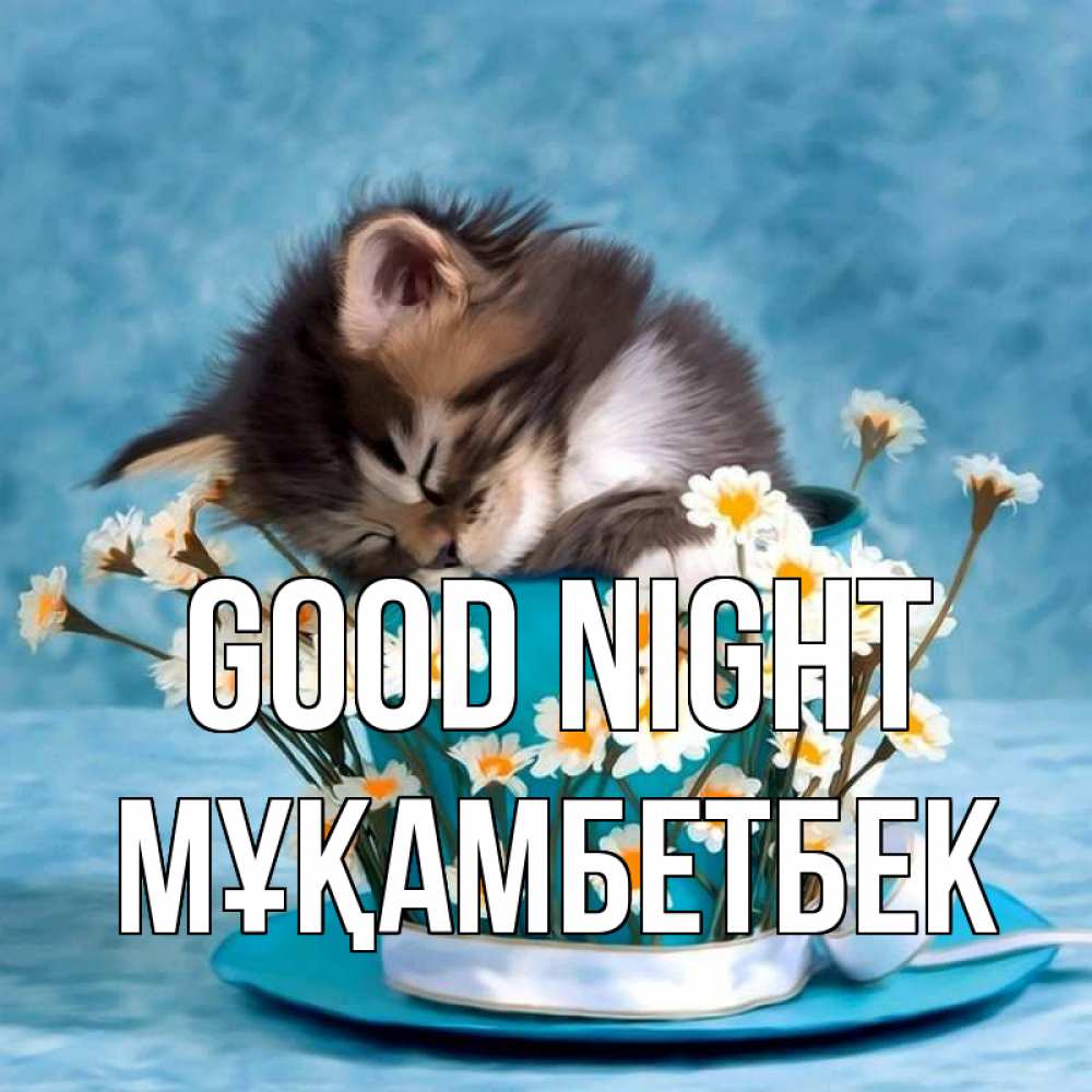 Greetings card с именем, Мұқамбетбек Good night котенок спит в кружке с блюдцем Greetings with text for free download 