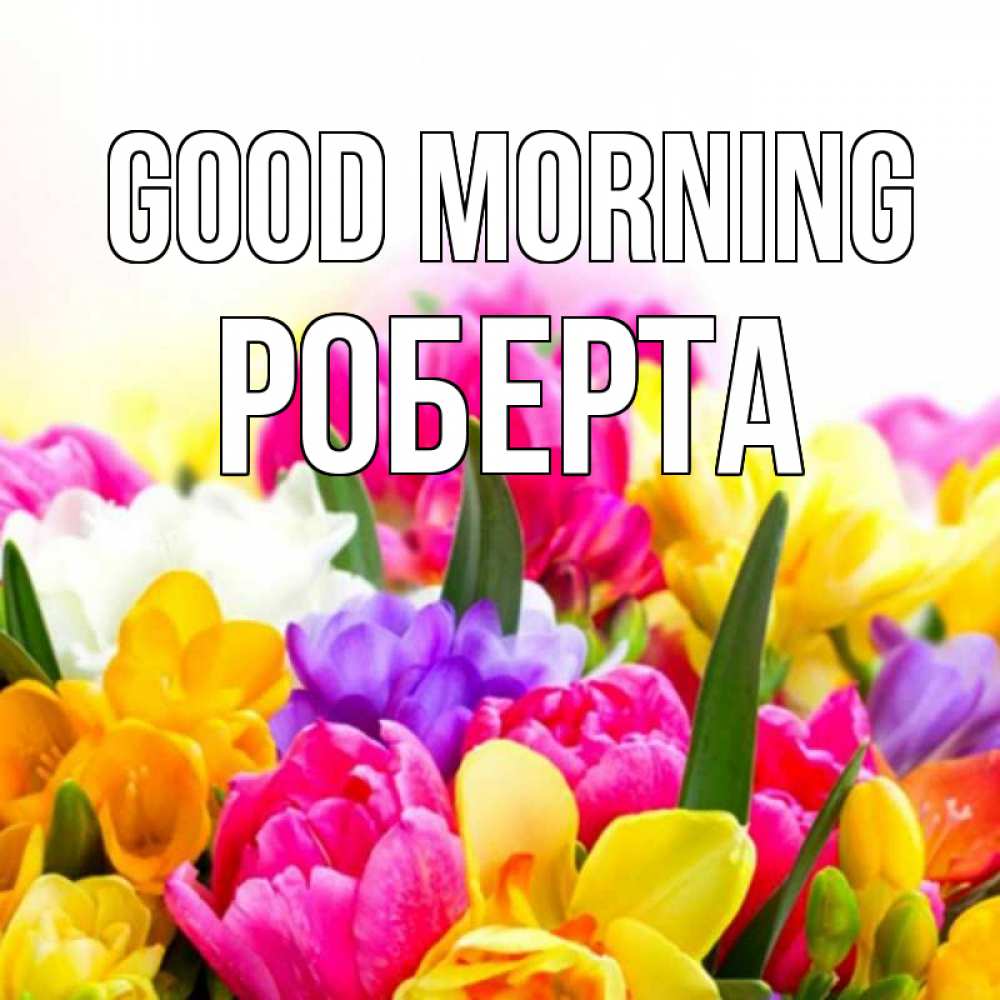 Greetings card с именем, Роберта Good morning создать открытку со свое подписью Greetings with text for free download 