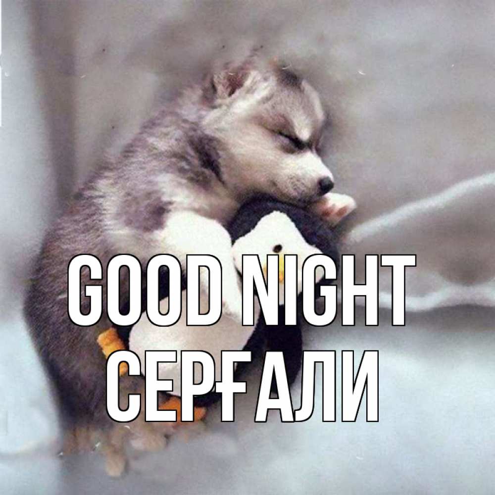 Greetings card с именем, СЕРҒАЛИ Good night обнимашки щенка и пингвина Greetings with text for free download 
