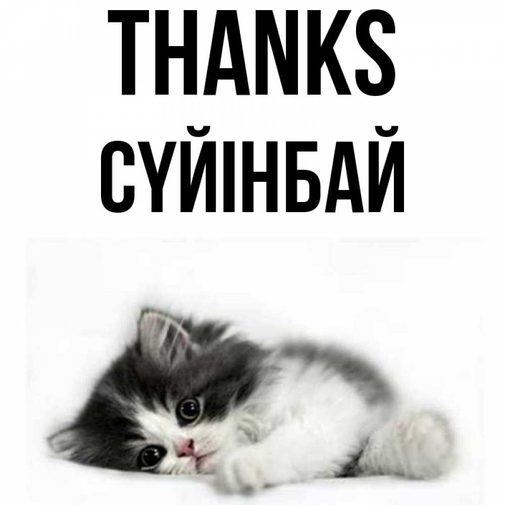 Greetings card с именем, СҮЙІНБАЙ Thanks черный и белый кот Greetings with text for free download 