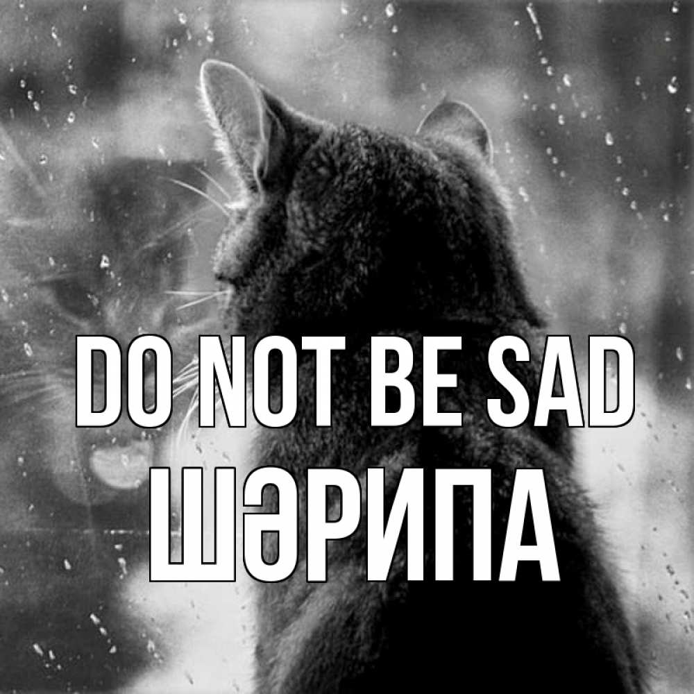 Greetings card с именем, ШӘРИПА Do not be sad отражение кота 1 Greetings with text for free download 