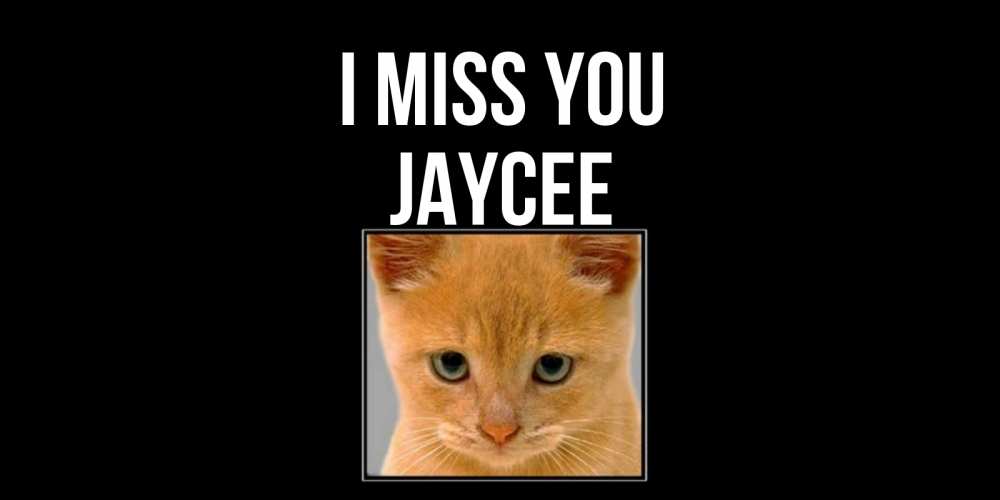 Greetings card с именем, Jaycee I miss you открытки рыжий котенок скучает по тебе Greetings with text for free download 