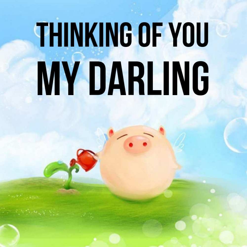 Greetings card с именем, my-darling Thinking of you позитивная свинюшка Greetings with text for free download 