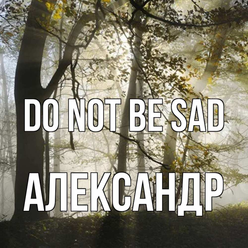 Greetings card с именем, Александр Do not be sad лес и свет Greetings with text for free download 