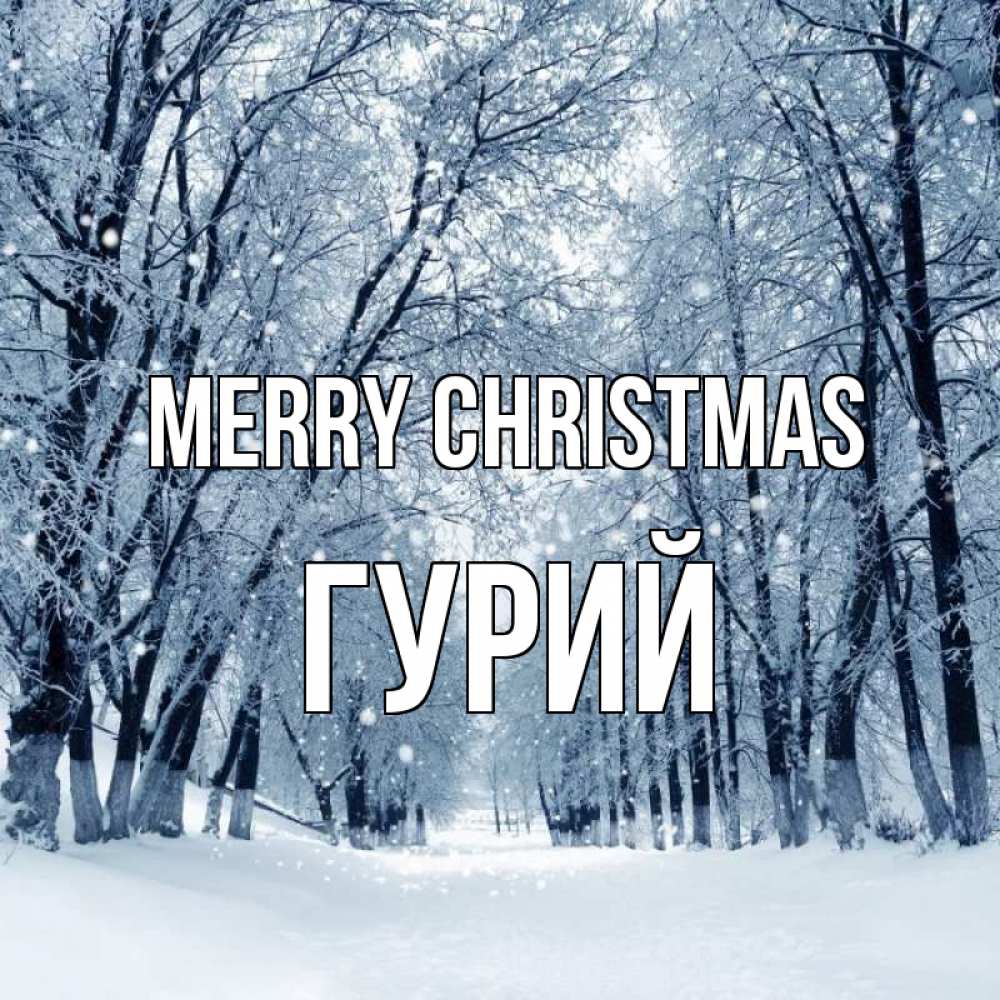 Greetings card с именем, Гурий Merry Christmas снег, лес, парк Greetings with text for free download 