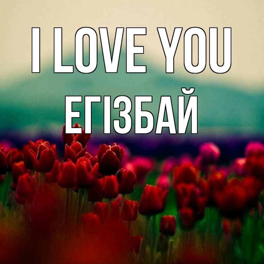 Greetings card с именем, Егізбай I love you тюльпаны 4 Greetings with text for free download 