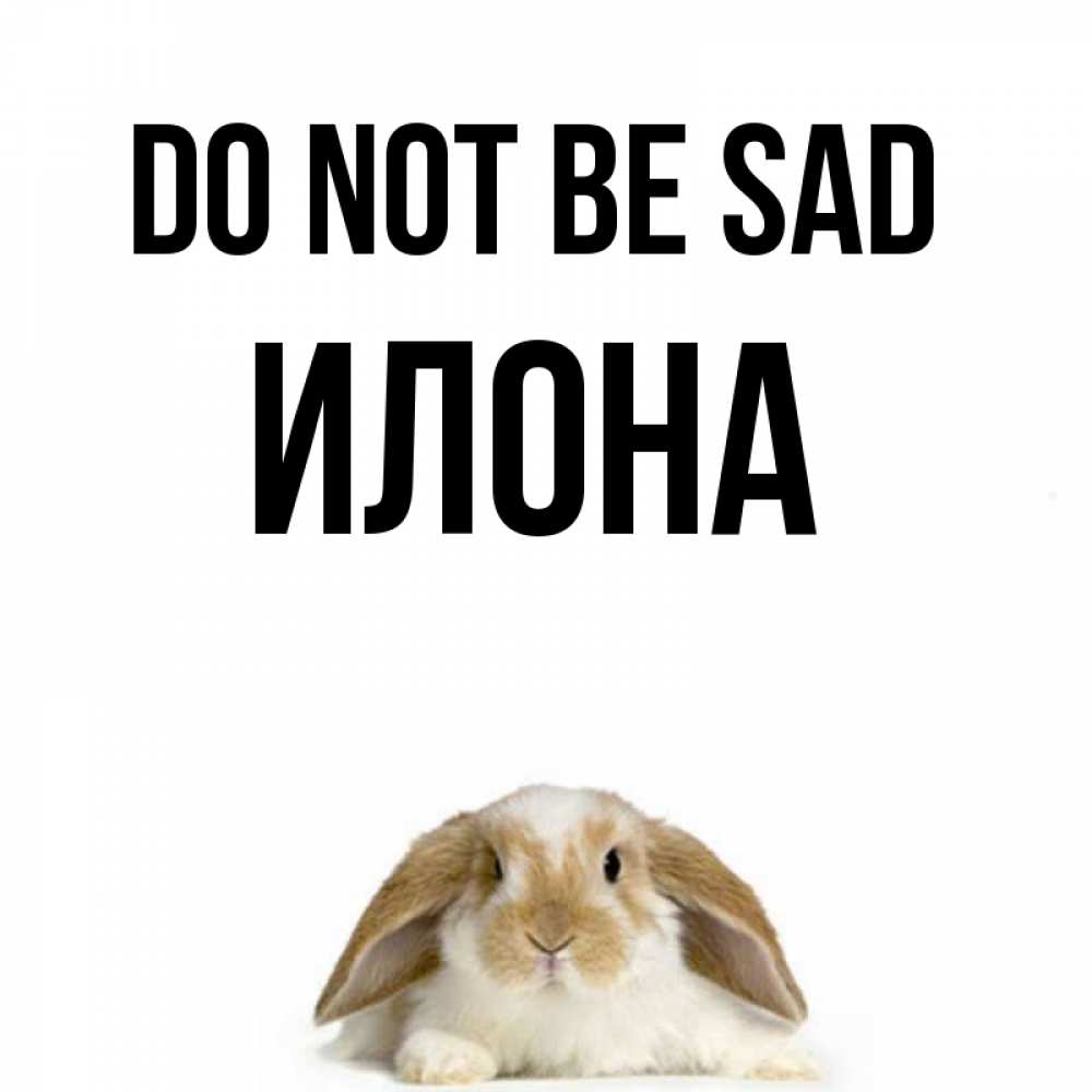 Greetings card с именем, Илона Do not be sad коричнево белый заяц с большими ушками Greetings with text for free download 