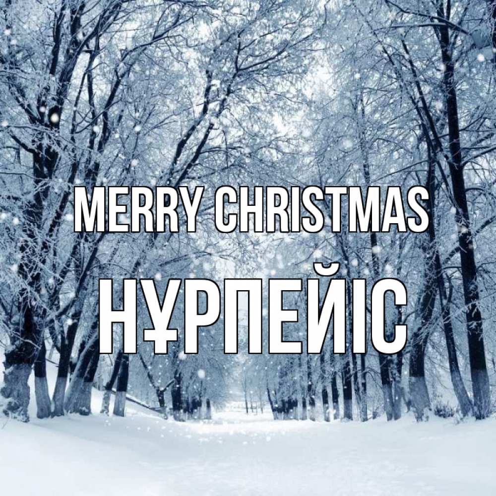 Greetings card с именем, НҰРПЕЙІС Merry Christmas снег, лес, парк Greetings with text for free download 