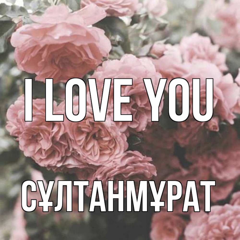 Greetings card с именем, СҰЛТАНМҰРАТ I love you розы 3 Greetings with text for free download 