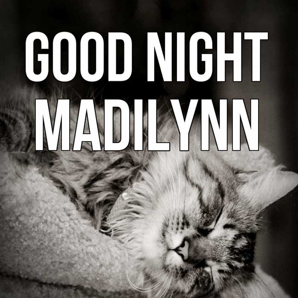 Greetings card с именем, Madilynn Good night котярик пушистый Greetings with text for free download 