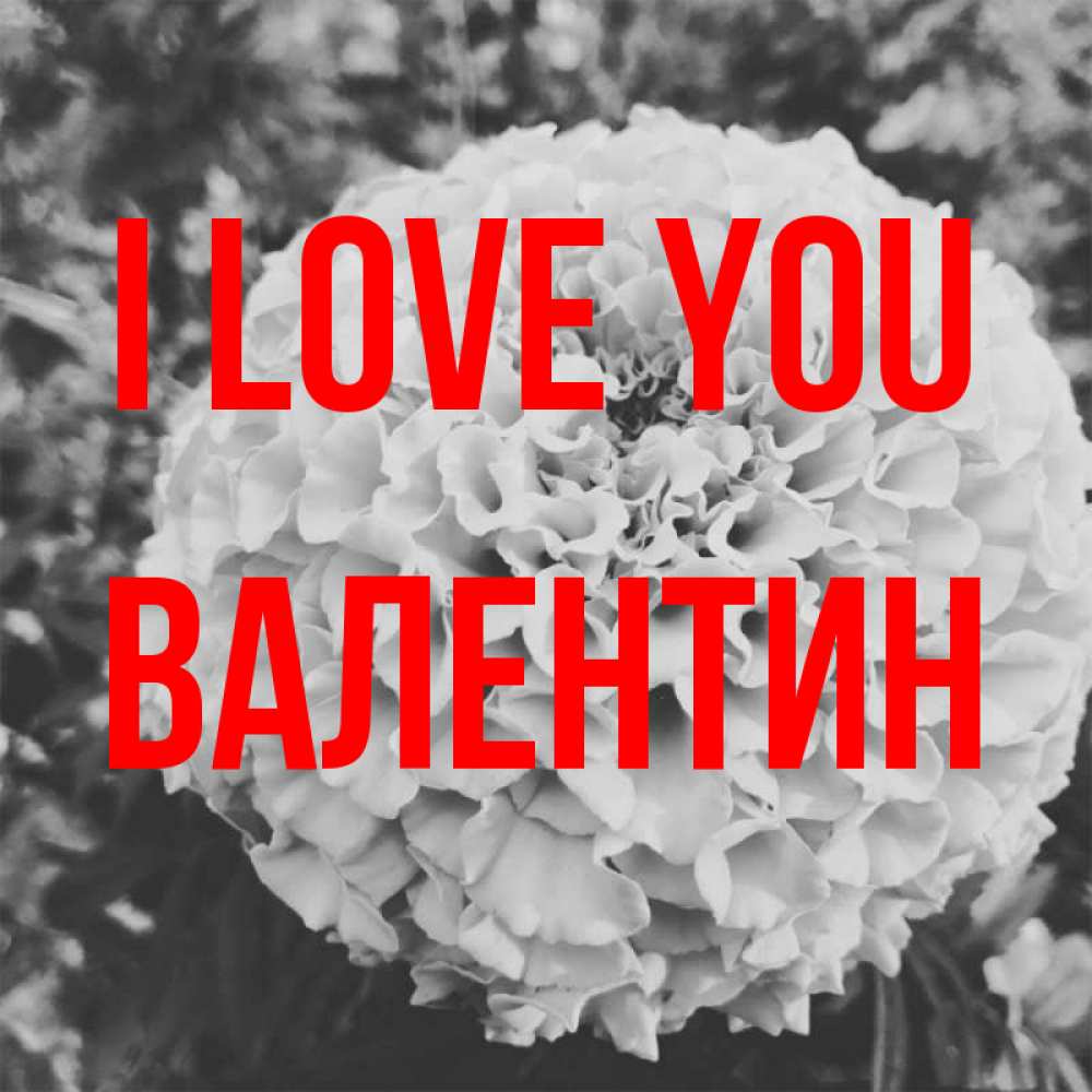 Greetings card с именем, Валентин I love you подпись Greetings with text for free download 