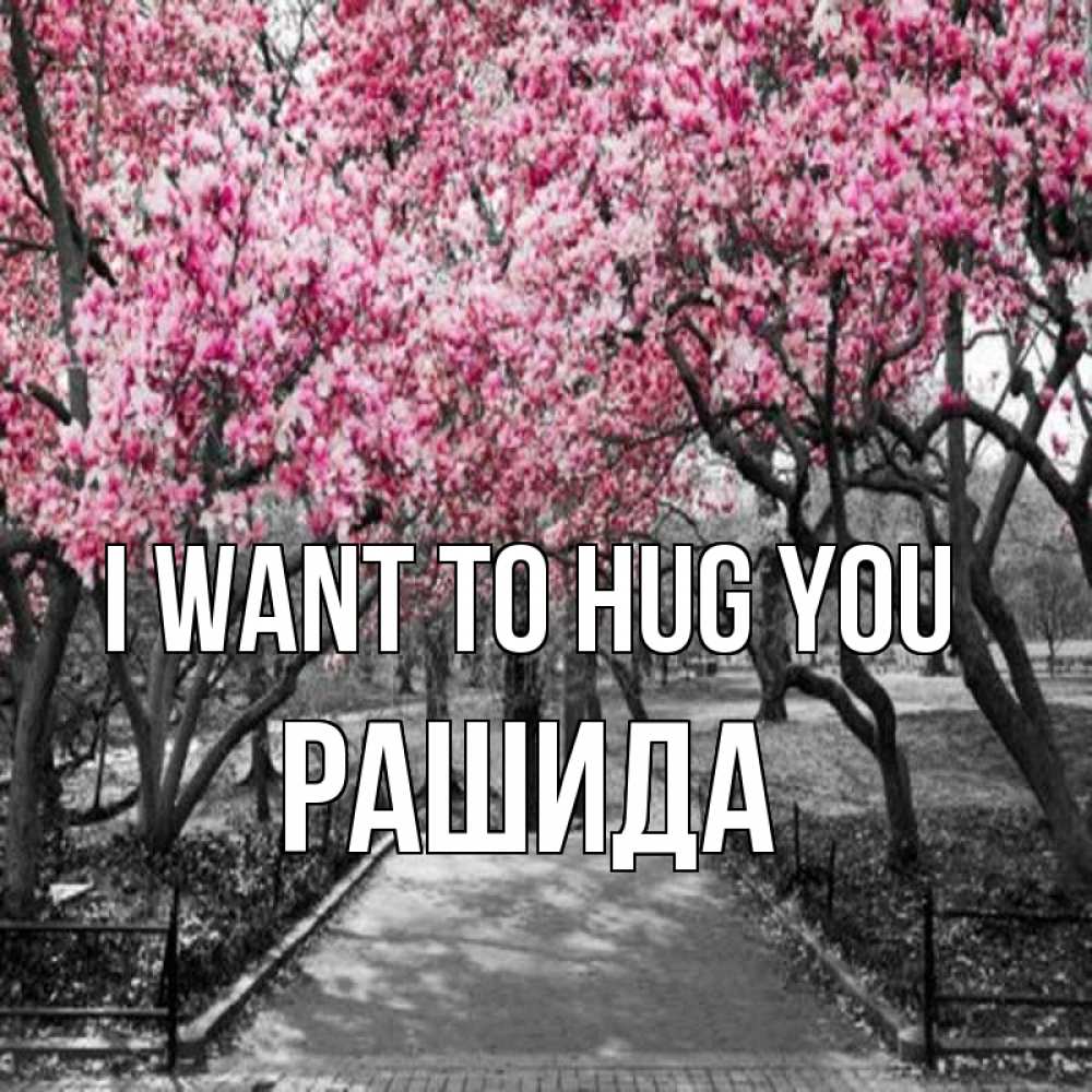 Greetings card с именем, РАШИДА I want to hug you обработанное фото Greetings with text for free download 