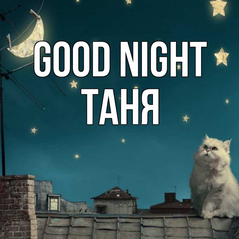 Greetings card с именем, Таня Good night белый кот сидит на крыше Greetings with text for free download 