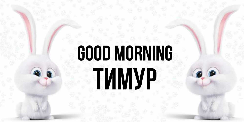 Greetings card с именем, Тимур Good morning кролики с длинными ушками Greetings with text for free download 