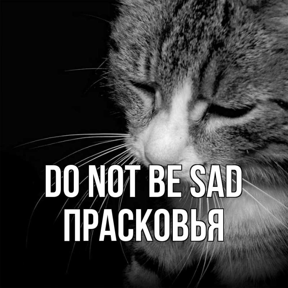 Greetings card с именем, Прасковья Do not be sad грустный котик Greetings with text for free download 