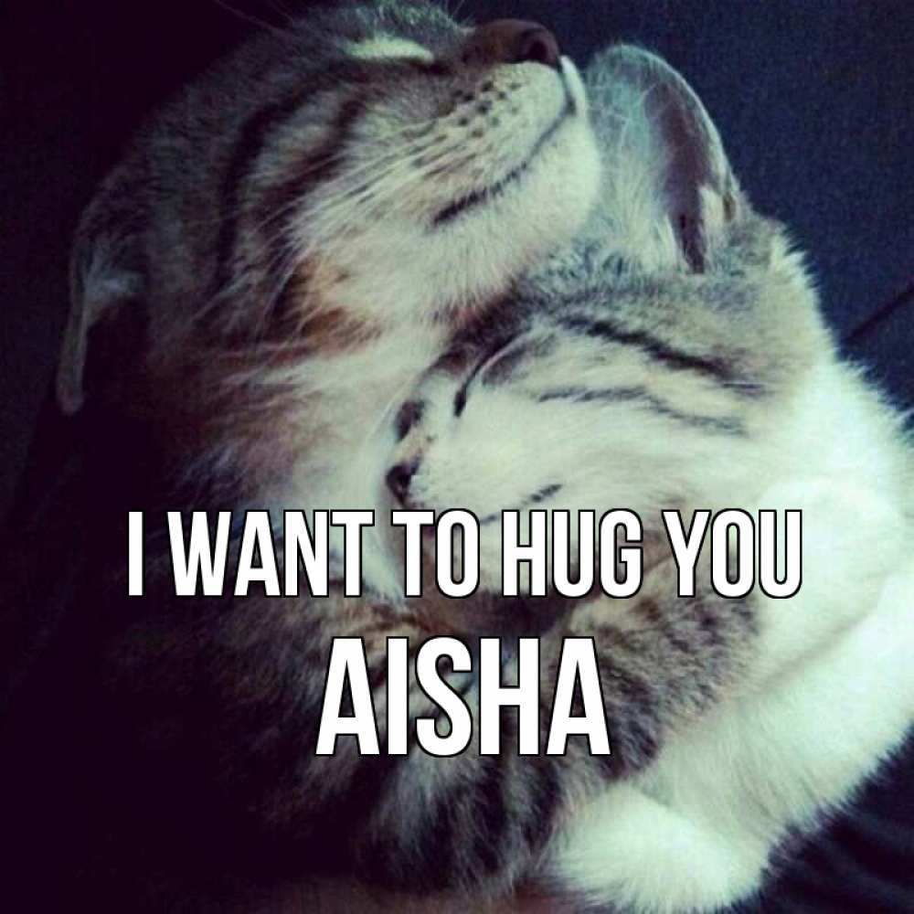 Greetings card с именем, Aisha I want to hug you полосатики Greetings with text for free download 