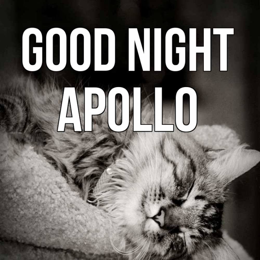 Greetings card с именем, Apollo Good night котярик пушистый Greetings with text for free download 