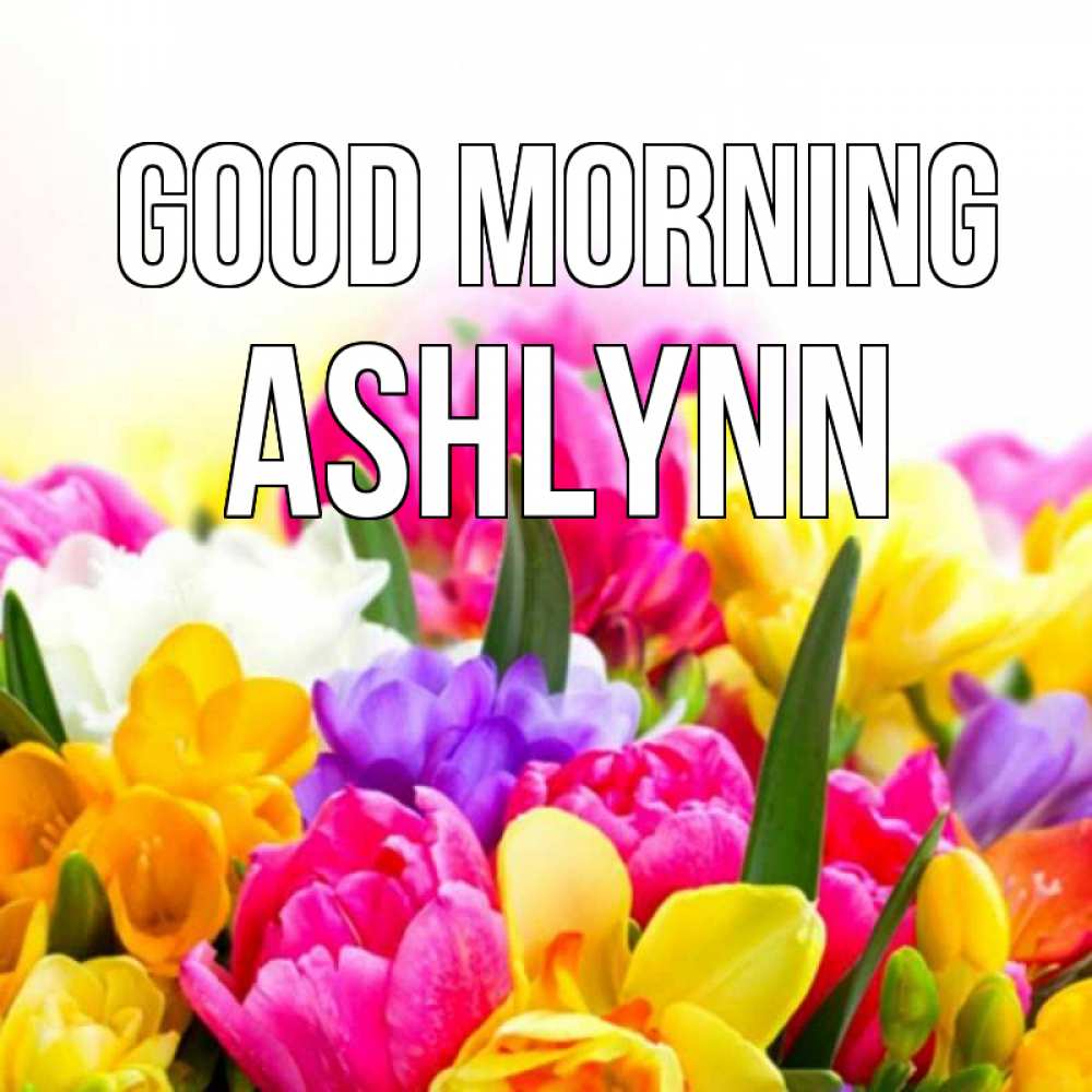 Greetings card с именем, Ashlynn Good morning создать открытку со свое подписью Greetings with text for free download 