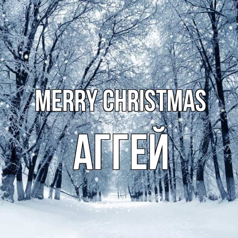 Greetings card с именем, Аггей Merry Christmas снег, лес, парк Greetings with text for free download 