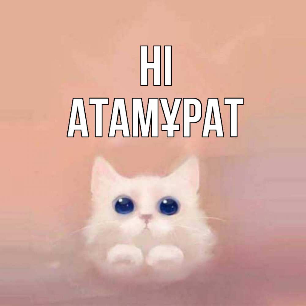 Greetings card с именем, Атамұрат Hi котик белый в полете Greetings with text for free download 