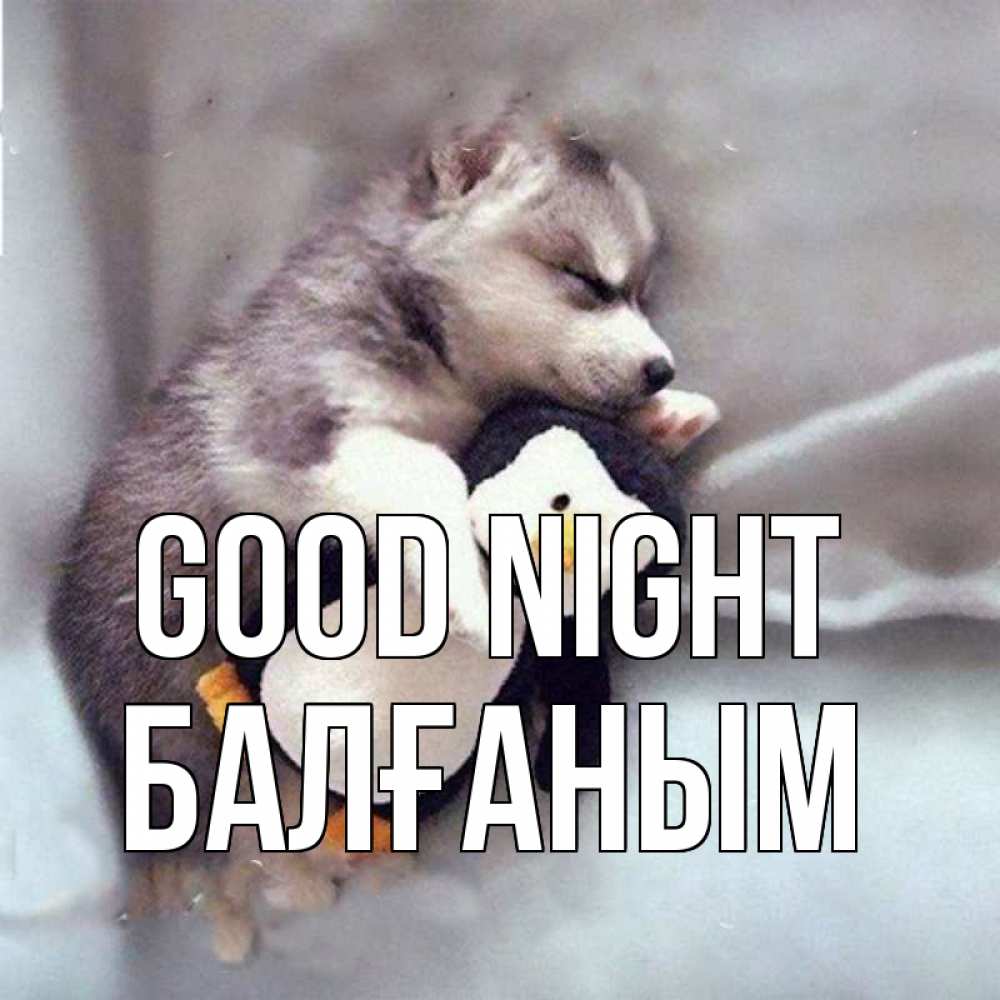 Greetings card с именем, БАЛҒАНЫМ Good night обнимашки щенка и пингвина Greetings with text for free download 