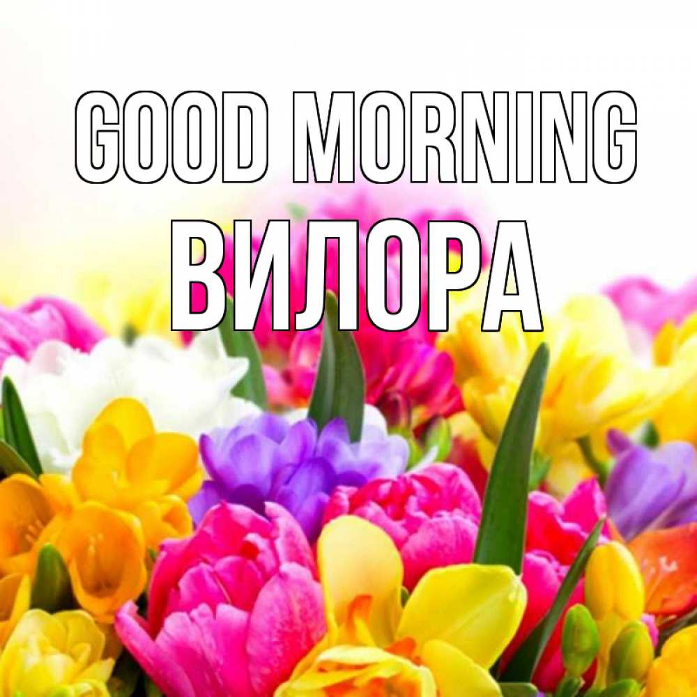 Greetings card с именем, Вилора Good morning создать открытку со свое подписью Greetings with text for free download 