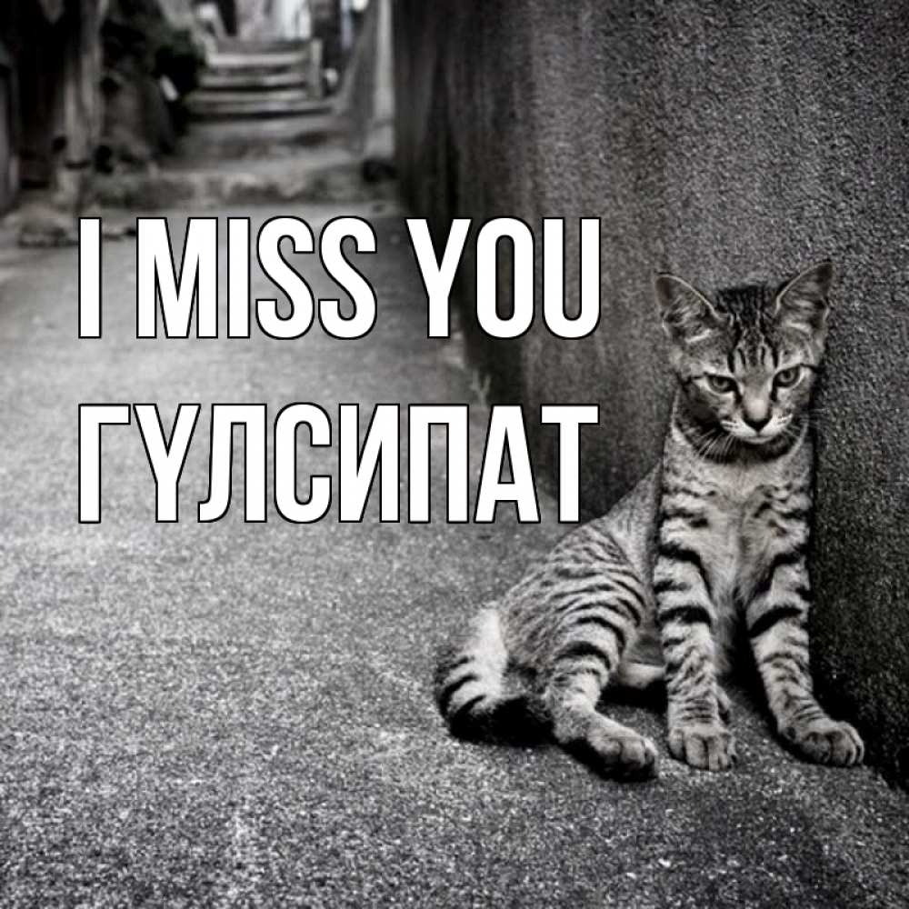 Greetings card с именем, ГҮЛСИПАТ I miss you одиноко котику Greetings with text for free download 