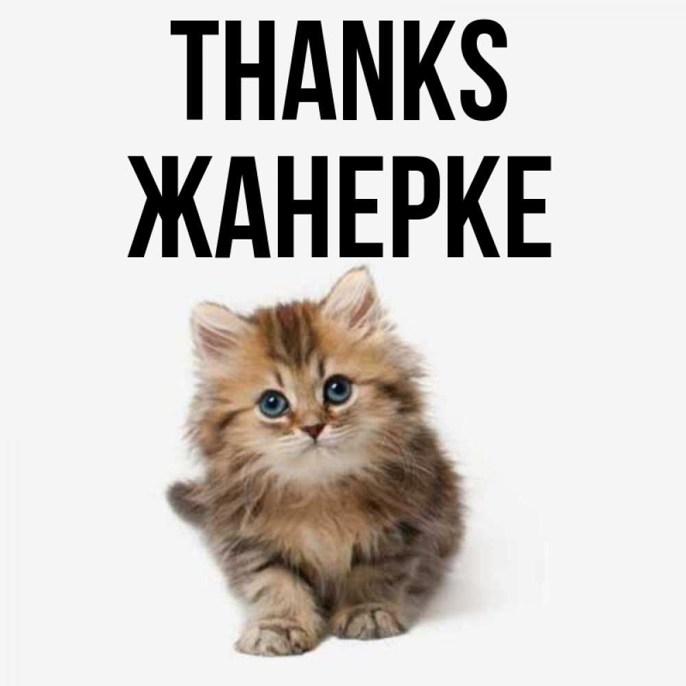 Greetings card с именем, ЖАНЕРКЕ Thanks пушистый котик Greetings with text for free download 