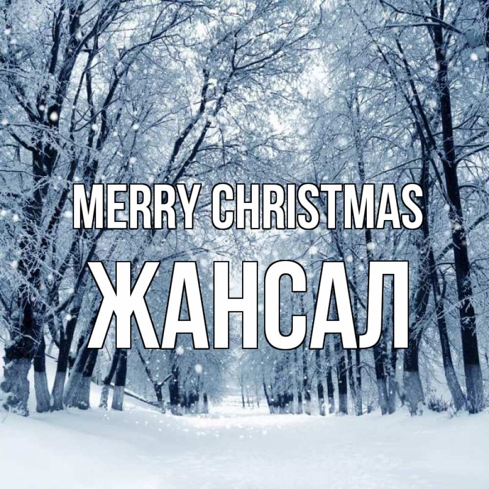 Greetings card с именем, Жансал Merry Christmas снег, лес, парк Greetings with text for free download 