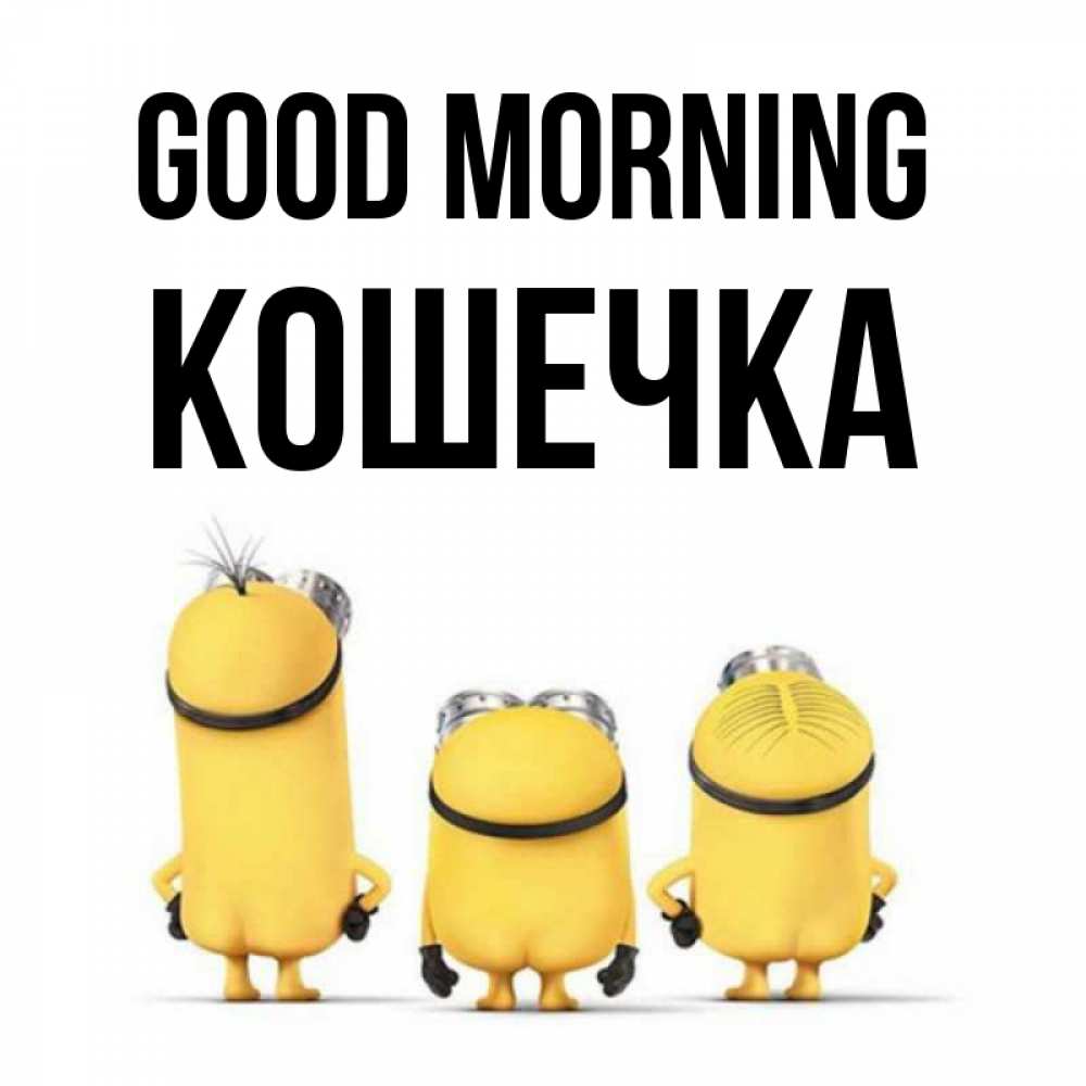 Greetings card с именем, Кошечка Good morning подписать открытку онлайн бесплатно Greetings with text for free download 