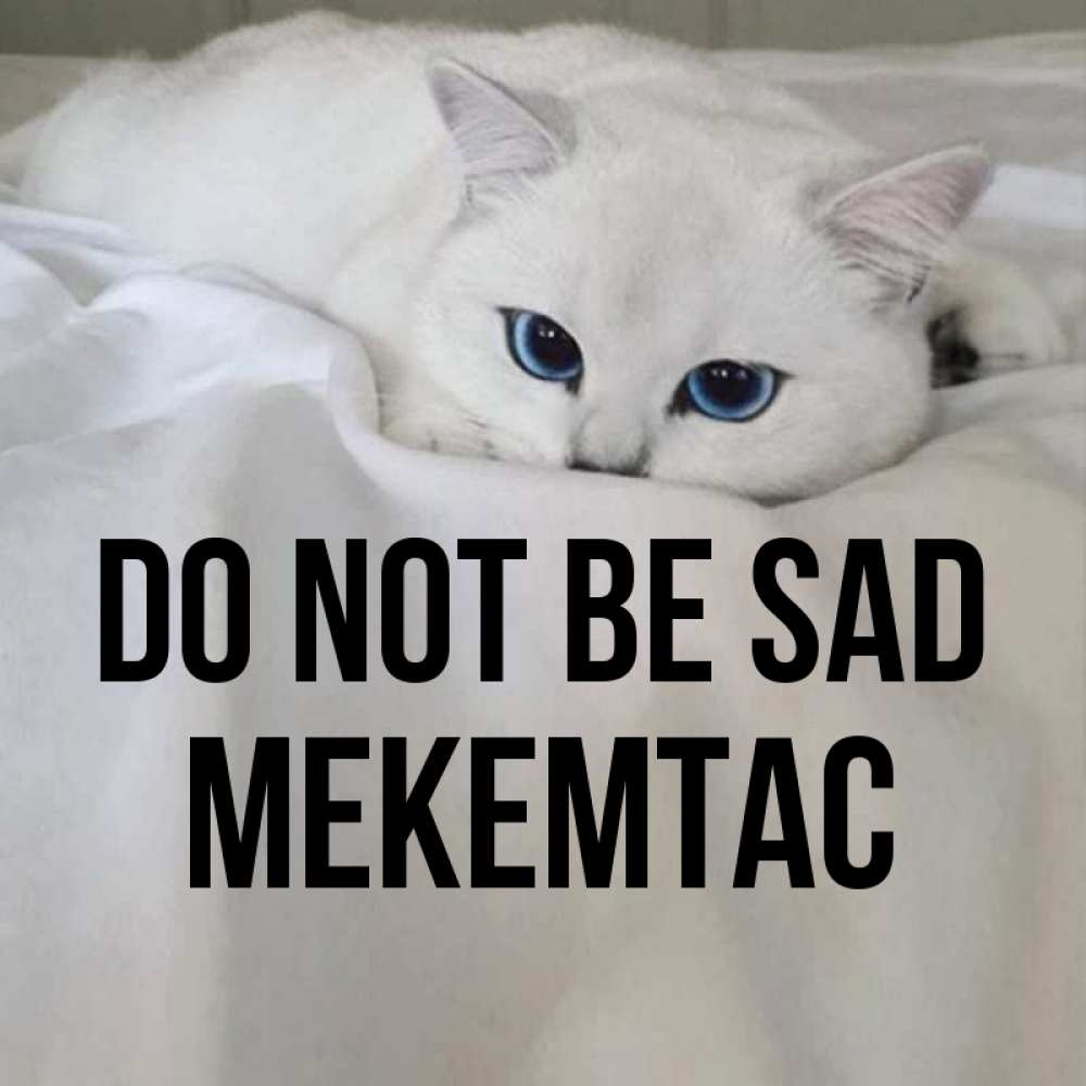 Greetings card с именем, МЕКЕМТАС Do not be sad Голубоглазая кошка Greetings with text for free download 