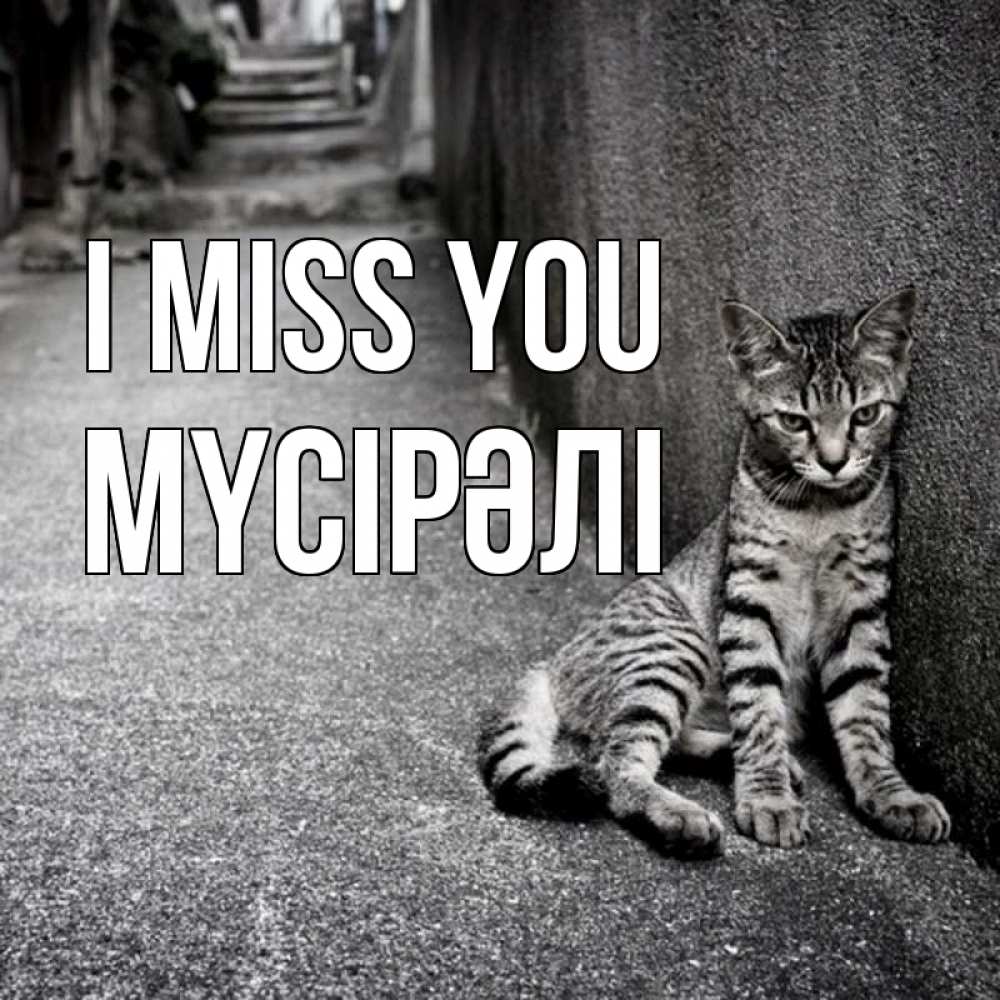 Greetings card с именем, МҮСІРӘЛІ I miss you одиноко котику Greetings with text for free download 