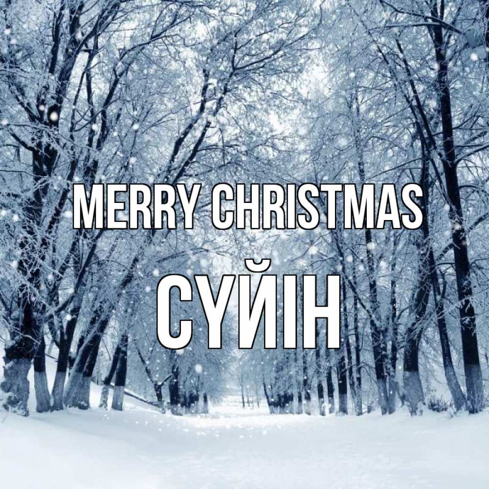 Greetings card с именем, СҮЙІН Merry Christmas снег, лес, парк Greetings with text for free download 