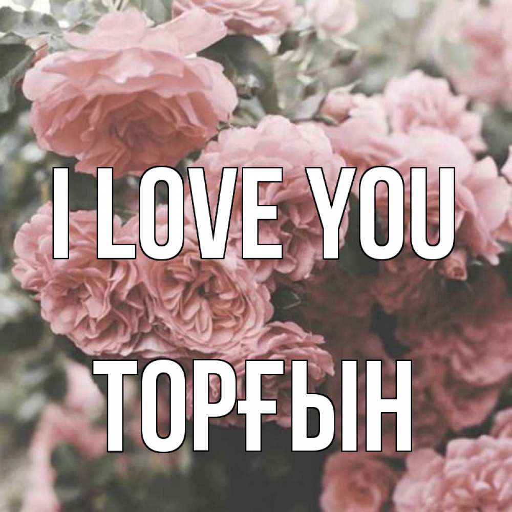 Greetings card с именем, ТОРҒЫН I love you розы 3 Greetings with text for free download 