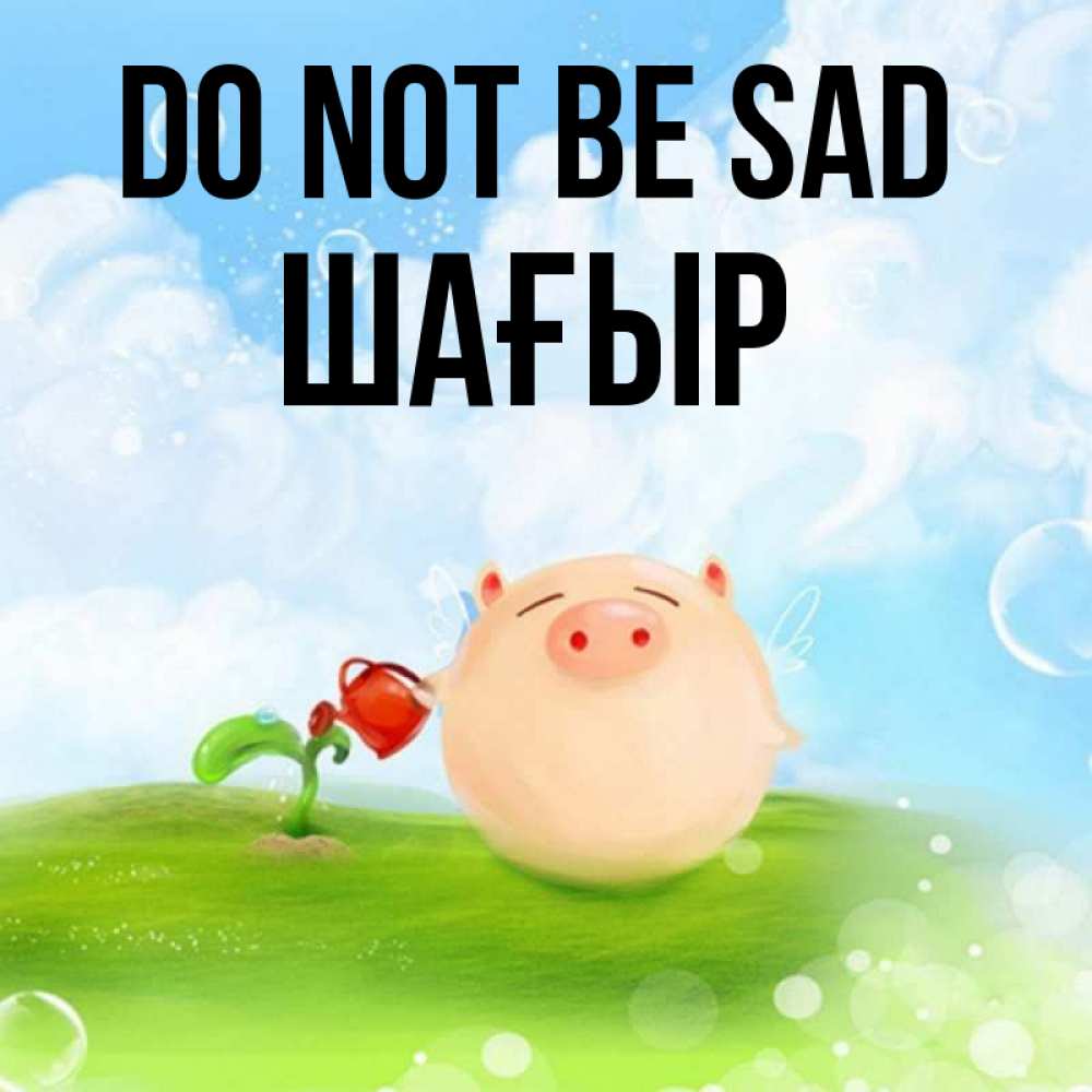 Greetings card с именем, ШАҒЫР Do not be sad поливает цветок порося Greetings with text for free download 