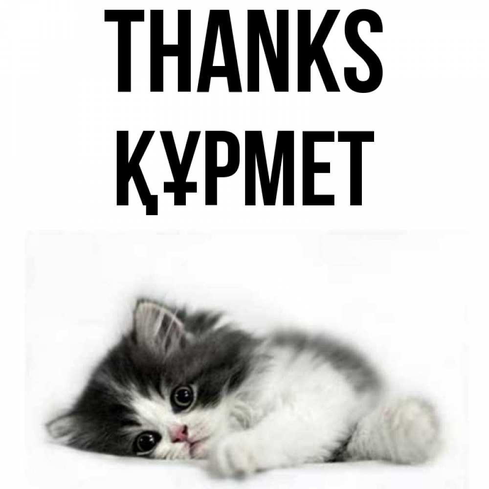Greetings card с именем, ҚҰРМЕТ Thanks черный и белый кот Greetings with text for free download 