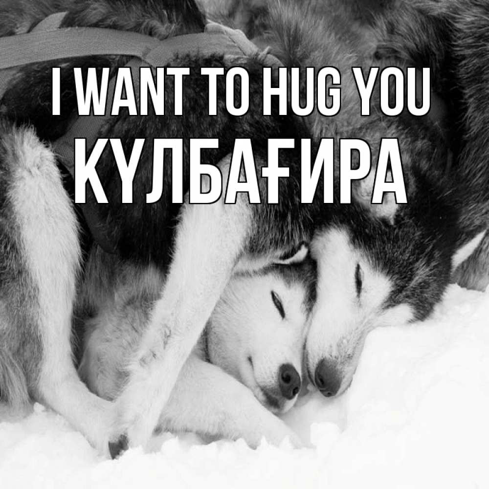 Greetings card с именем, КҮЛБАҒИРА I want to hug you собачки в упряжке Greetings with text for free download 
