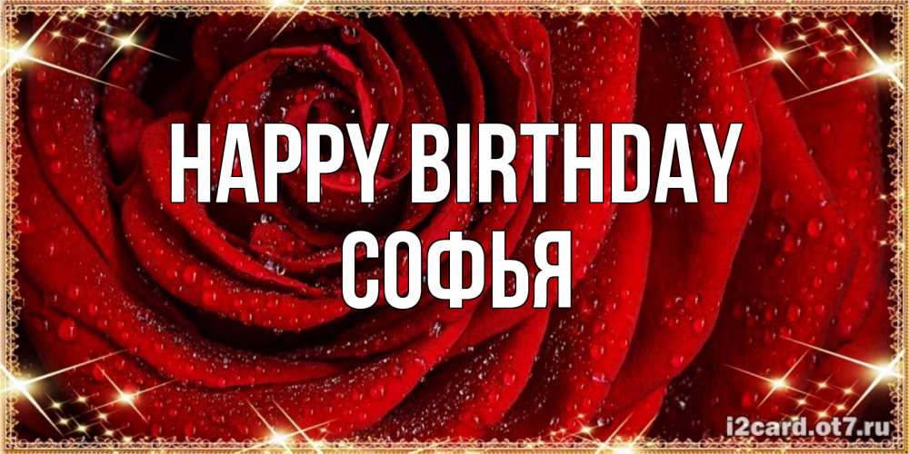 Greetings card с именем, Софья Happy Birthday роса на розе блестящая в лучах солнца Greetings with text for free download 