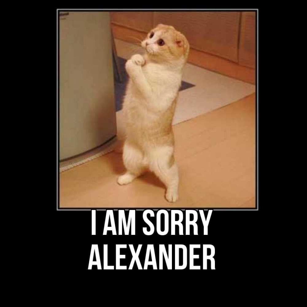 Greetings card с именем, Alexander I am sorry открытка с милым несчастным котиком просящим прощения Greetings with text for free download 