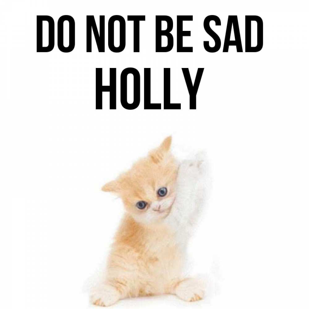 Greetings card с именем, Holly Do not be sad просящий кот Greetings with text for free download 