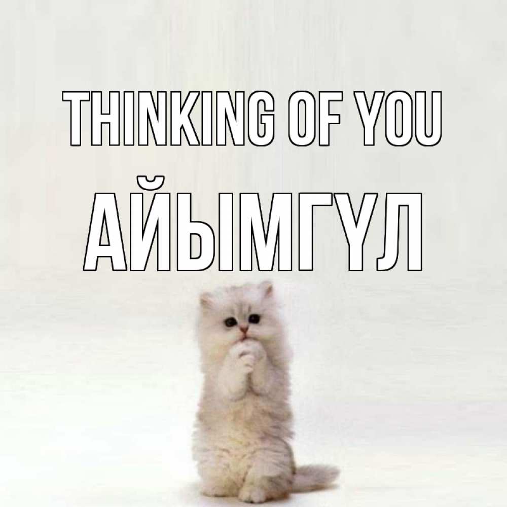 Greetings card с именем, АЙЫМГҮЛ Thinking of you кот стоит на задних лапах Greetings with text for free download 