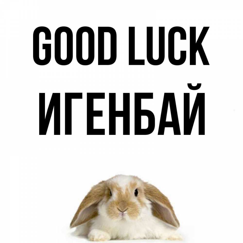 Greetings card с именем, Игенбай Good luck открытки с произвольным текстом который можно вставить в открытку и создать ее самостоятельно бесплатно онлайн Greetings with text for free download 
