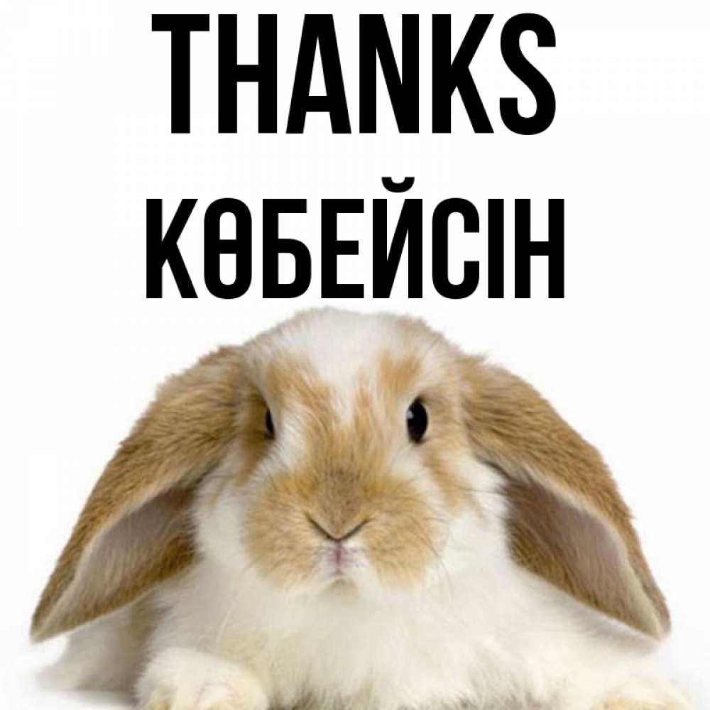Greetings card с именем, Көбейсін Thanks коричнево белый заяц Greetings with text for free download 