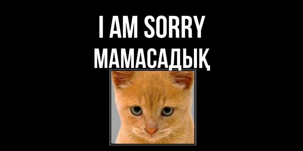 Greetings card с именем, МАМАСАДЫҚ I am sorry рыжий грустный кот просит прощения Greetings with text for free download 