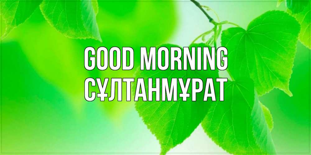 Greetings card с именем, СҰЛТАНМҰРАТ Good morning доброе утро с березовыми листьями Greetings with text for free download 