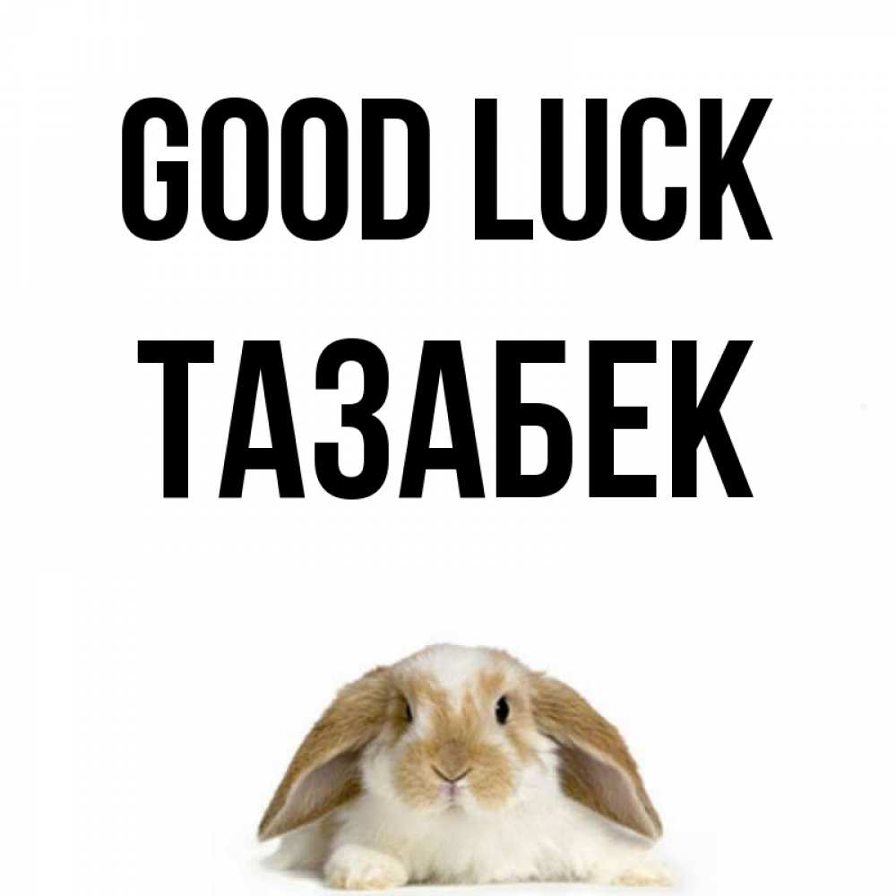 Greetings card с именем, ТАЗАБЕК Good luck открытки с произвольным текстом который можно вставить в открытку и создать ее самостоятельно бесплатно онлайн Greetings with text for free download 